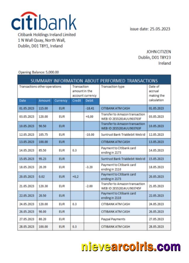 Ireland Citibank bank statement Word and PDF